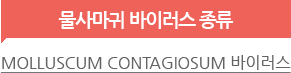 물사마귀 바이러스 종류 Molluscum Contagiosum 바이러스